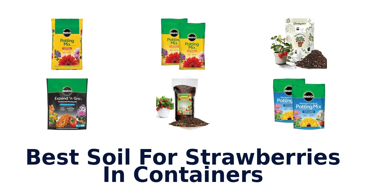best soil for strawberries in containers
