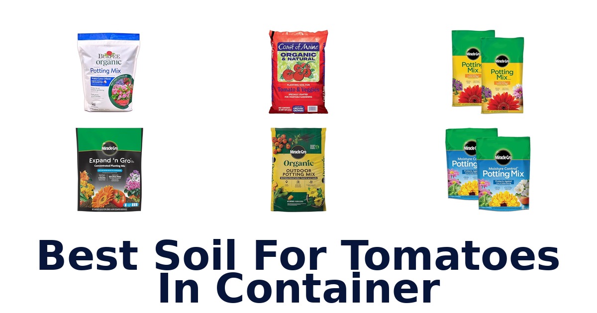 best soil for tomatoes in container