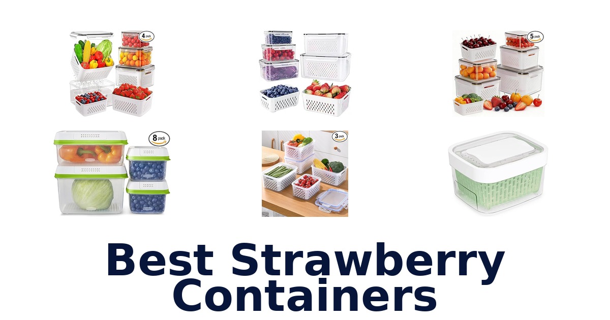 best strawberry containers