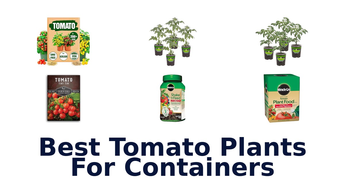 best tomato plants for containers