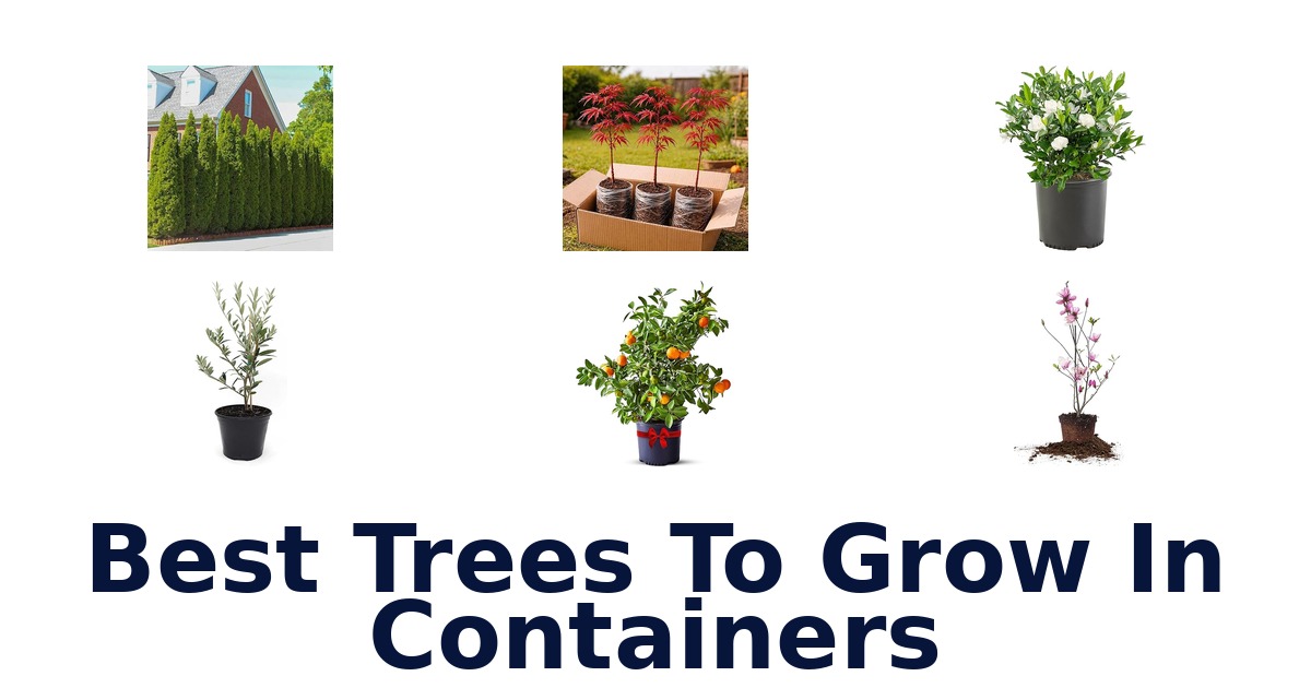 best trees to grow in containers