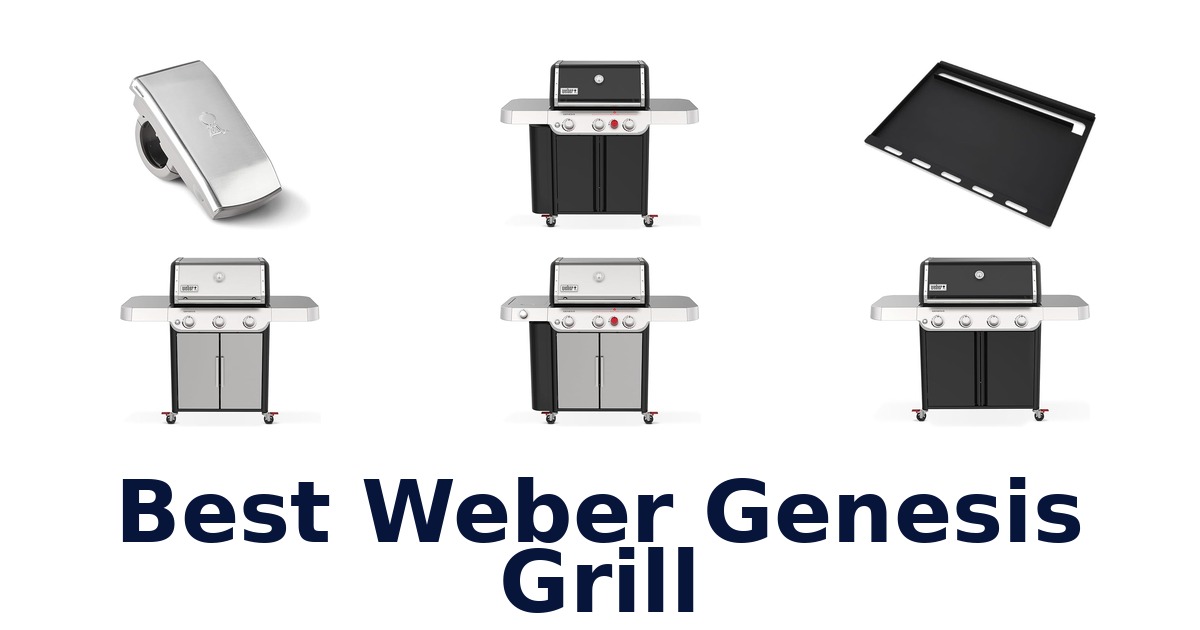 best weber genesis grill