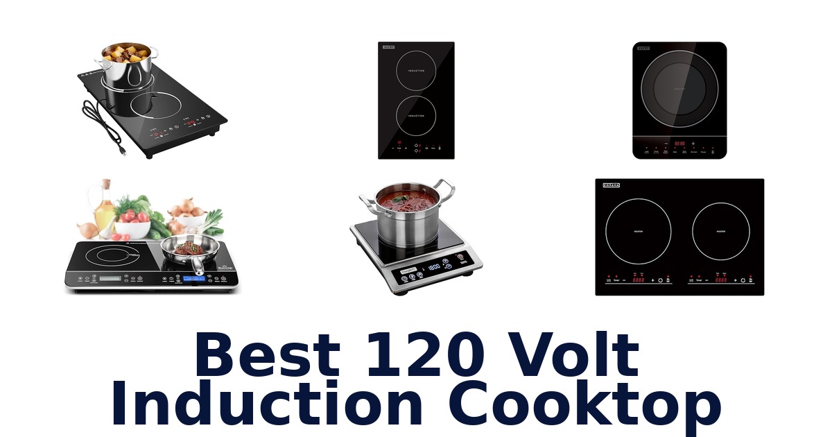 best 120 volt induction cooktop