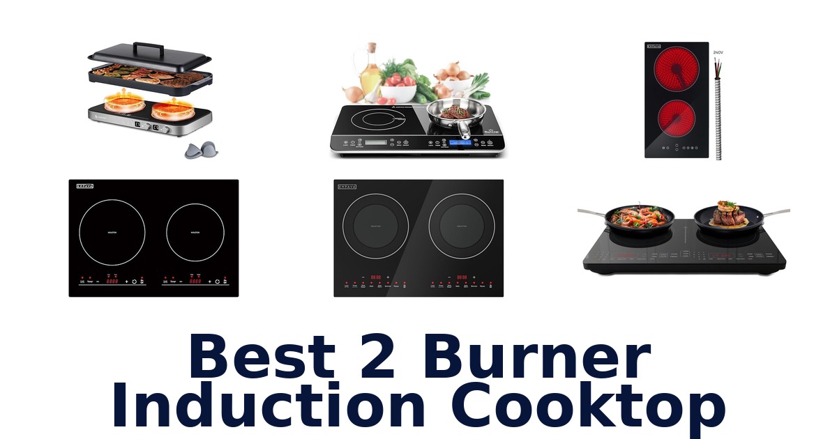 best 2 burner induction cooktop