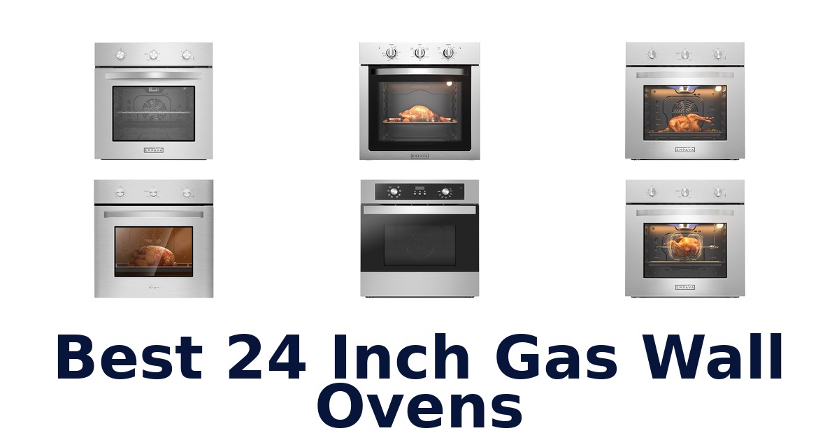 best 24 inch gas wall ovens