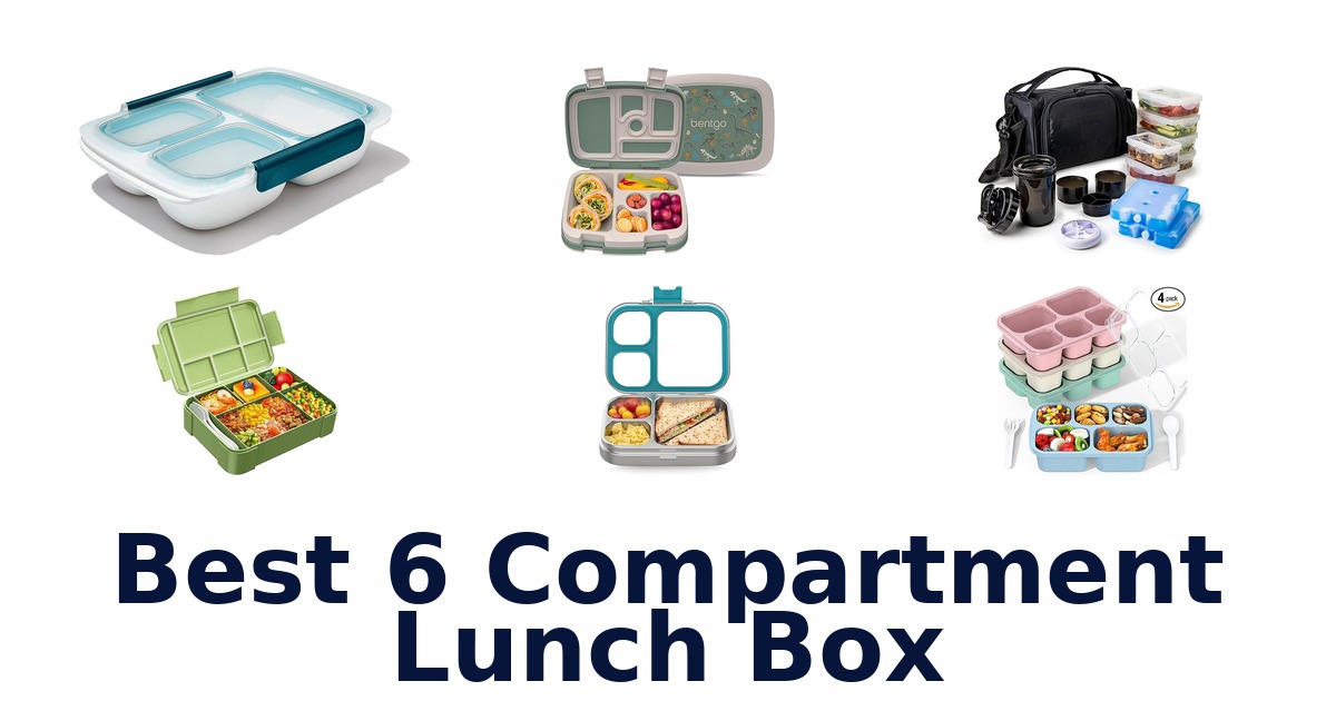 best 6 compartment lunch box