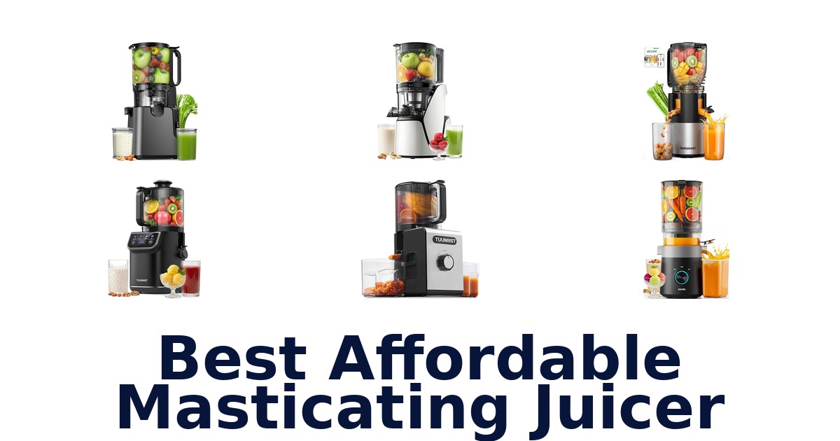 best affordable masticating juicer