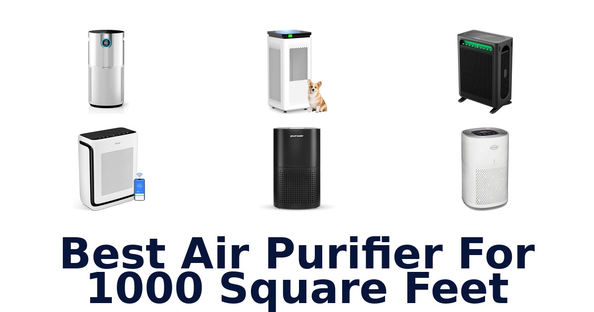 best air purifier for 1000 square feet