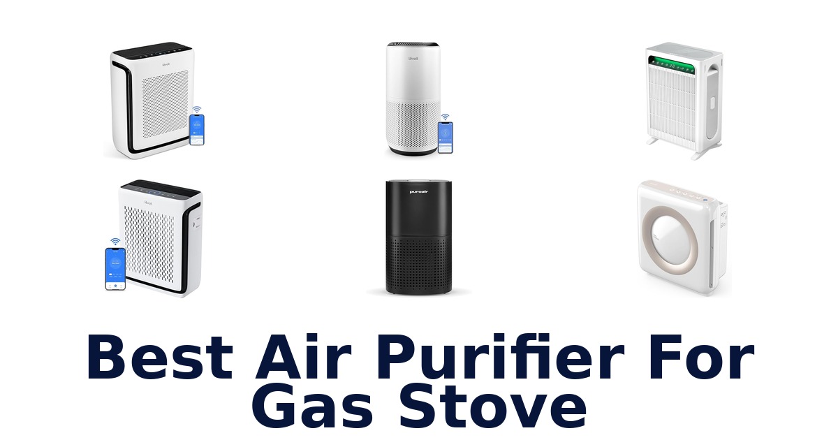 best air purifier for gas stove