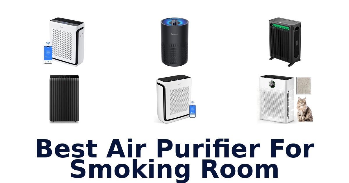 best air purifier for smoking room