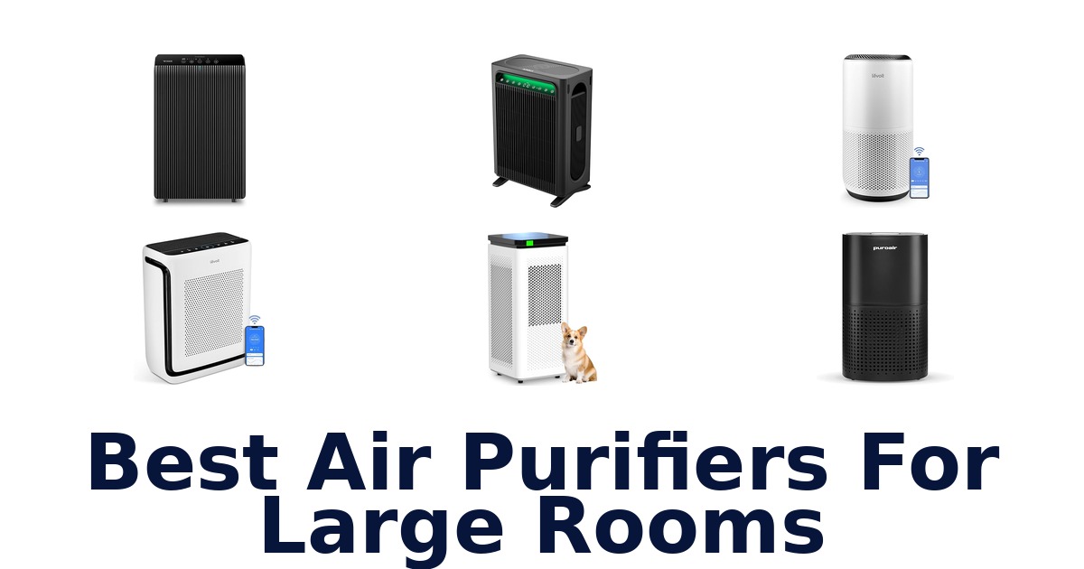 best air purifiers for large rooms