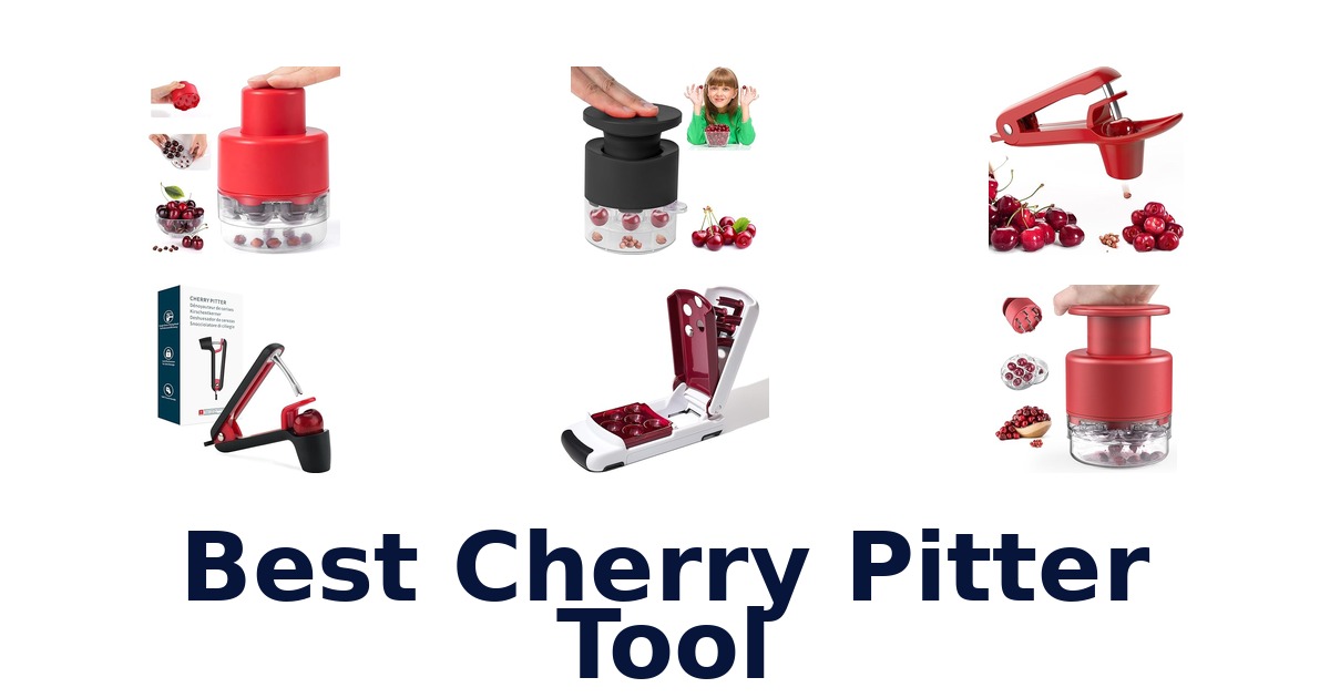 best cherry pitter tool