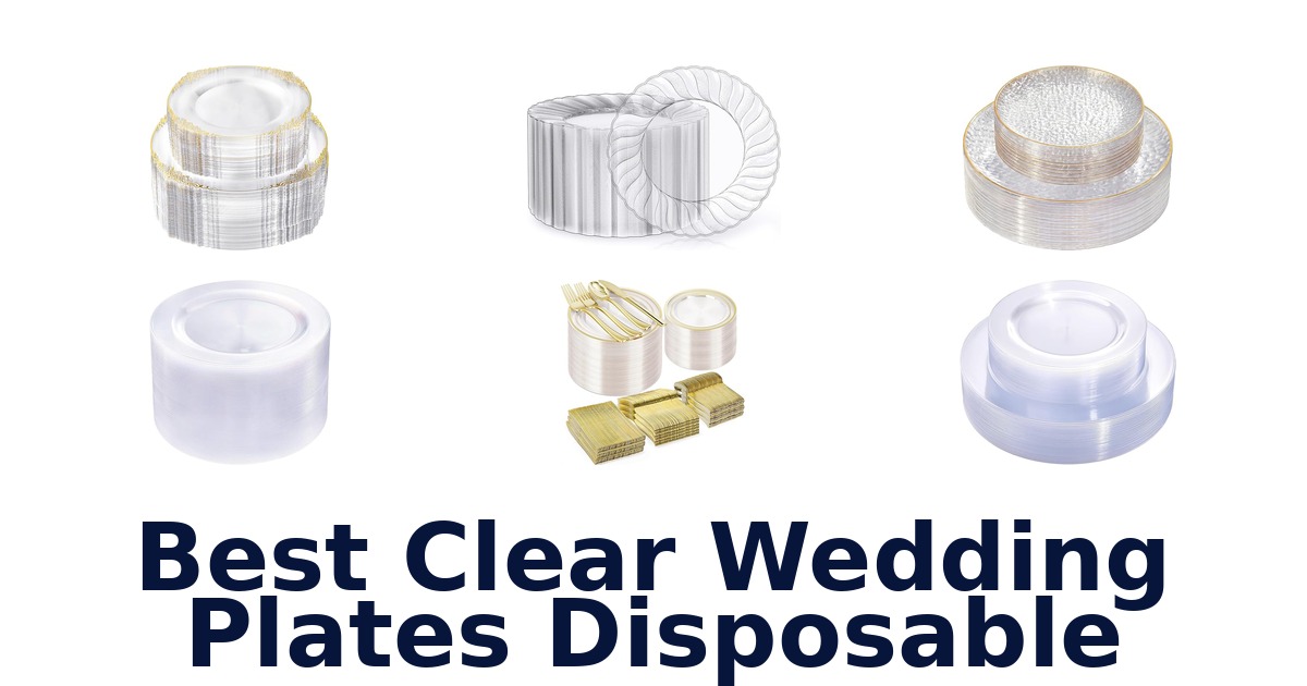 best clear wedding plates disposable