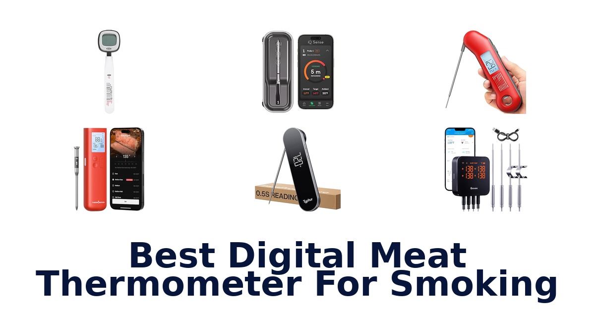 best digital meat thermometer for smoking