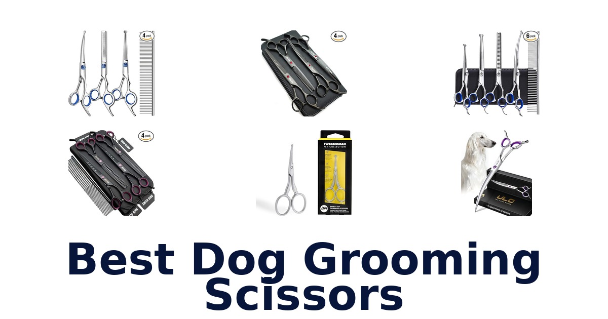 best dog grooming scissors