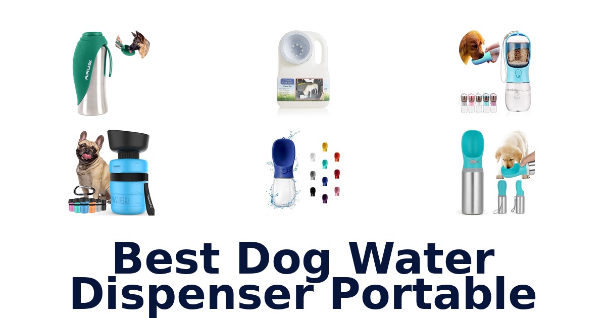 best dog water dispenser portable