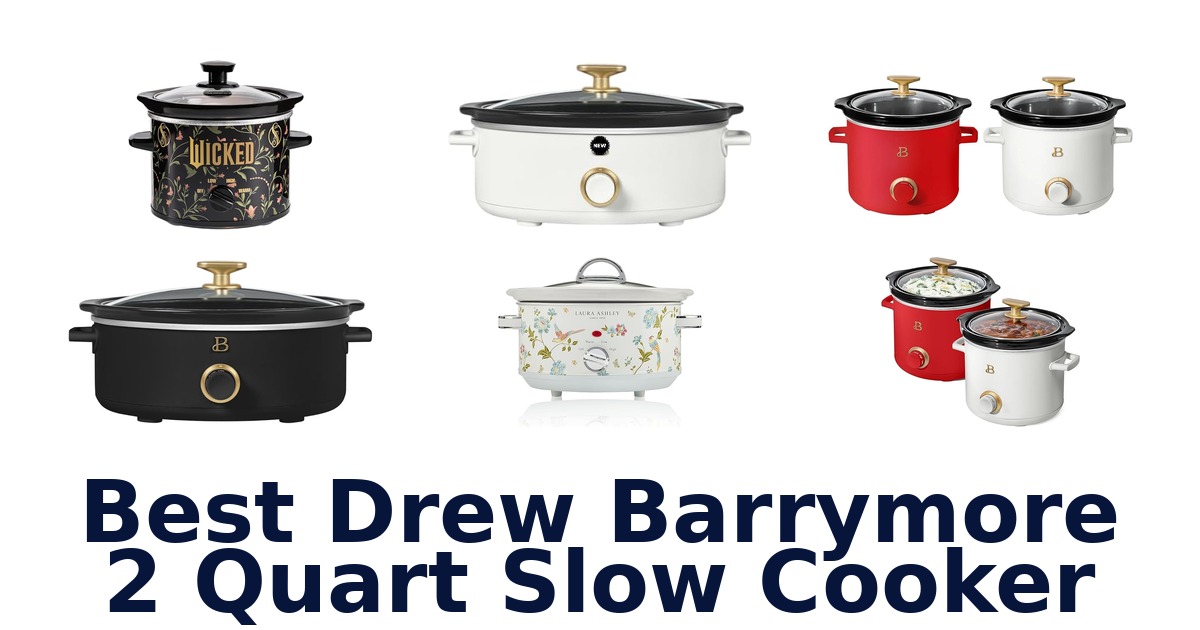 best drew barrymore 2 quart slow cooker