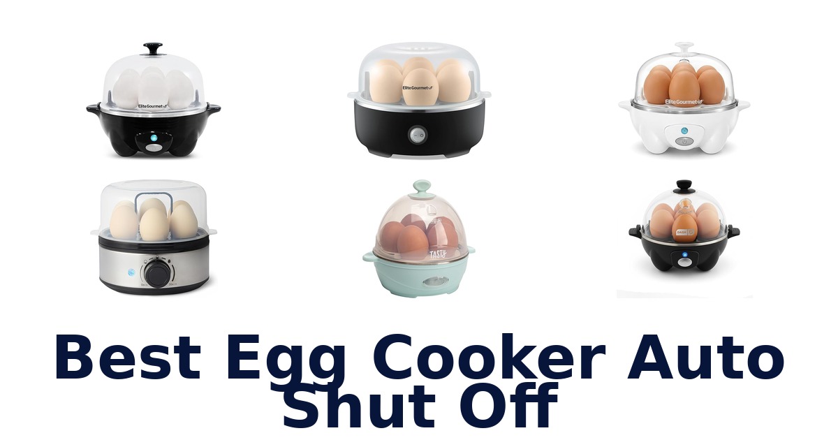 best egg cooker auto shut off