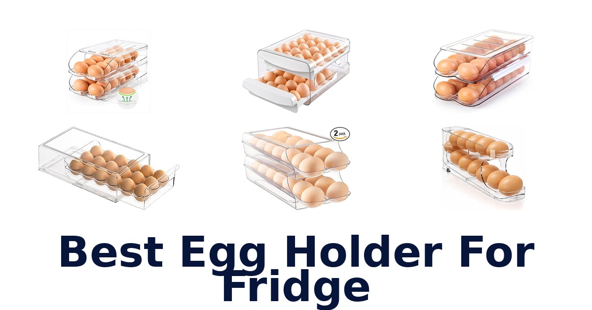 best egg holder for fridge