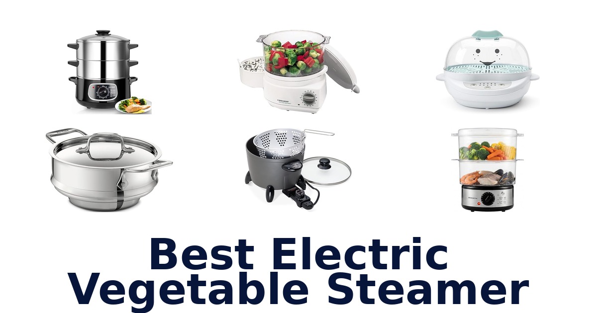 best electric vegetable steamer