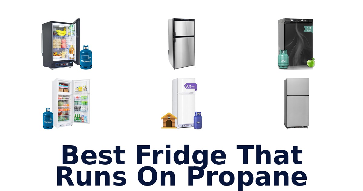 best fridge that runs on propane
