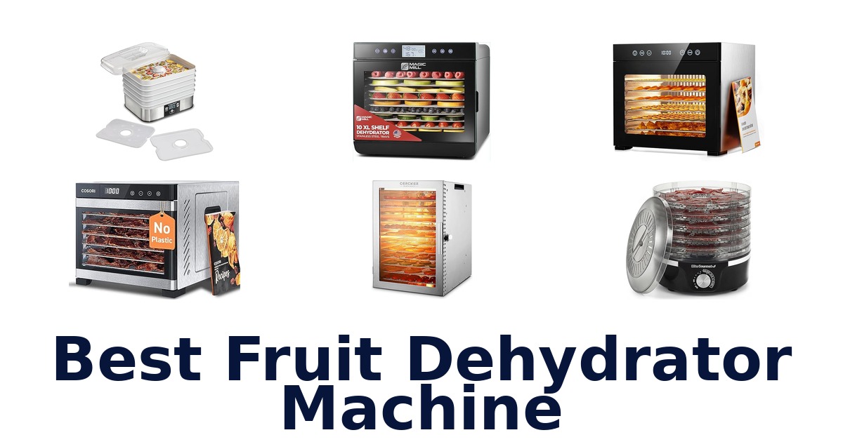 best fruit dehydrator machine