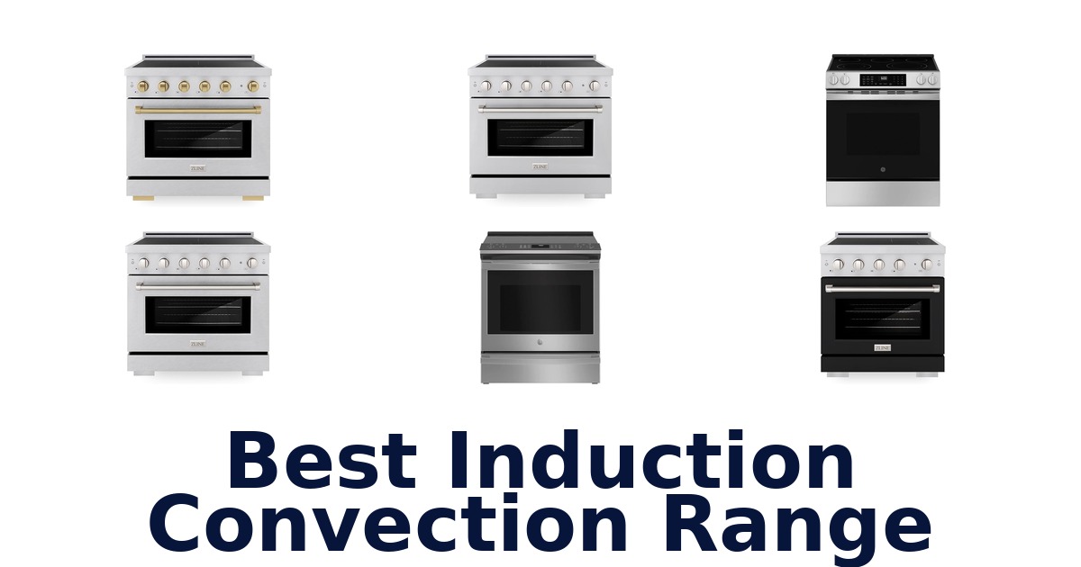 best induction convection range