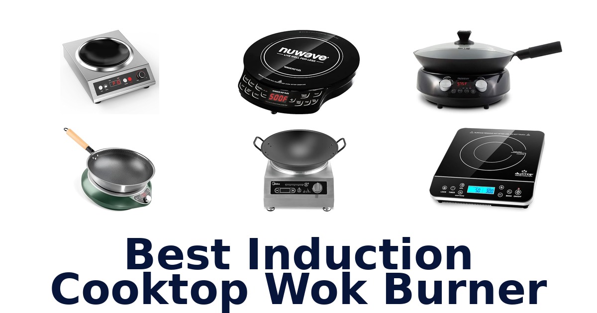 best induction cooktop wok burner