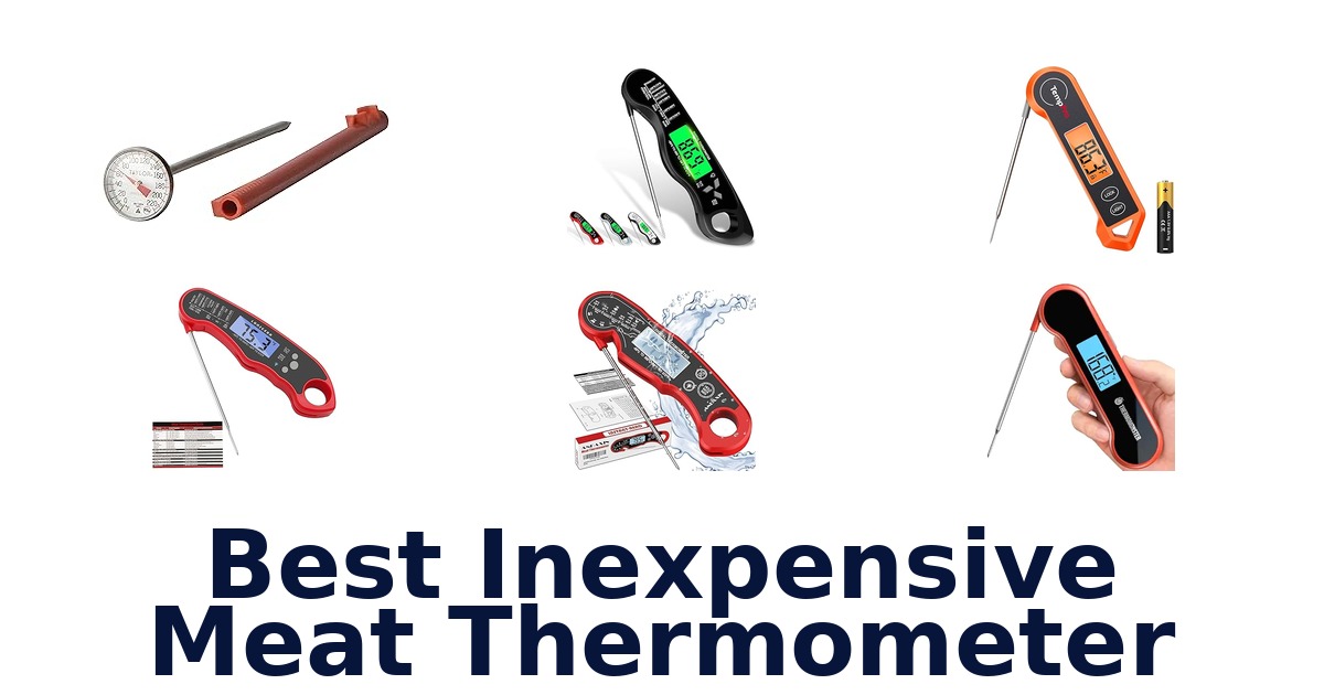 best inexpensive meat thermometer