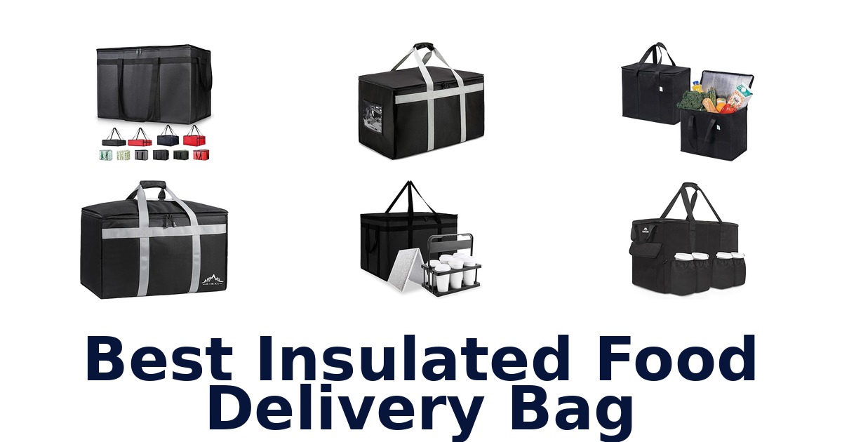 best insulated food delivery bag