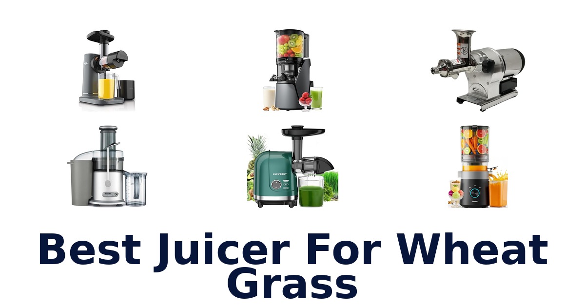 best juicer for wheat grass