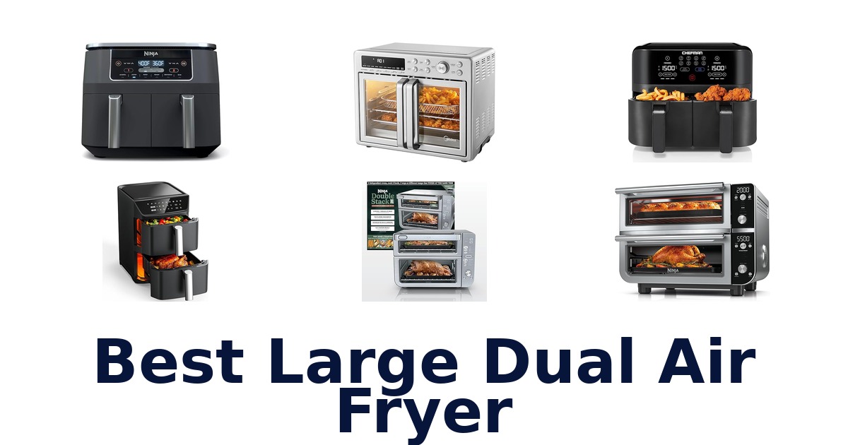 best large dual air fryer