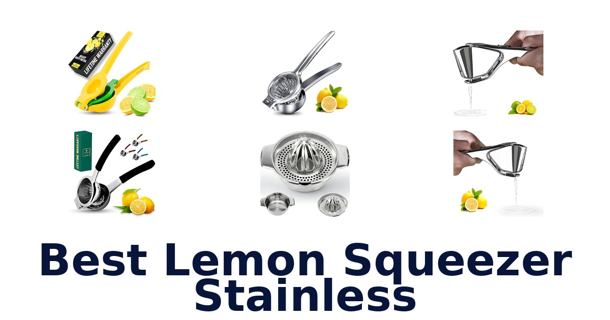 best lemon squeezer stainless