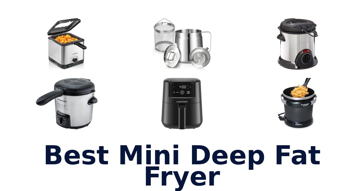 best mini deep fat fryer