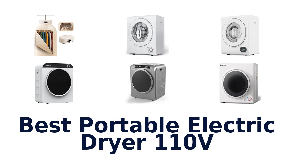 best portable electric dryer 110v