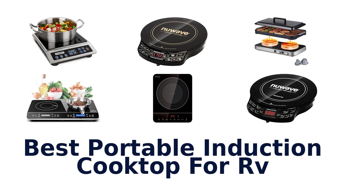 best portable induction cooktop for rv