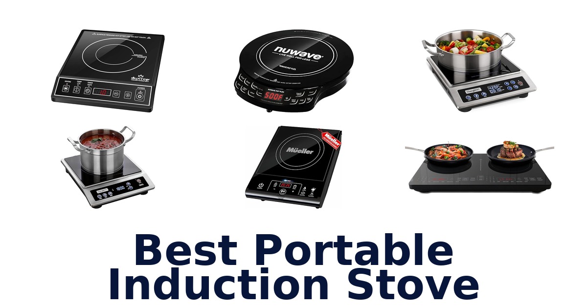 best portable induction stove