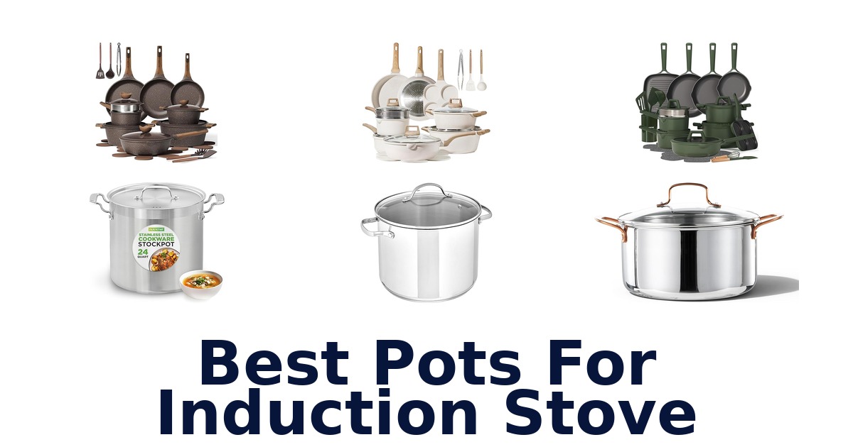 best pots for induction stove