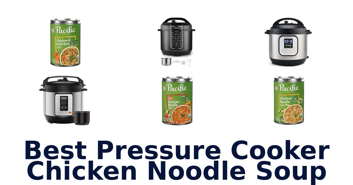 best pressure cooker chicken noodle soup