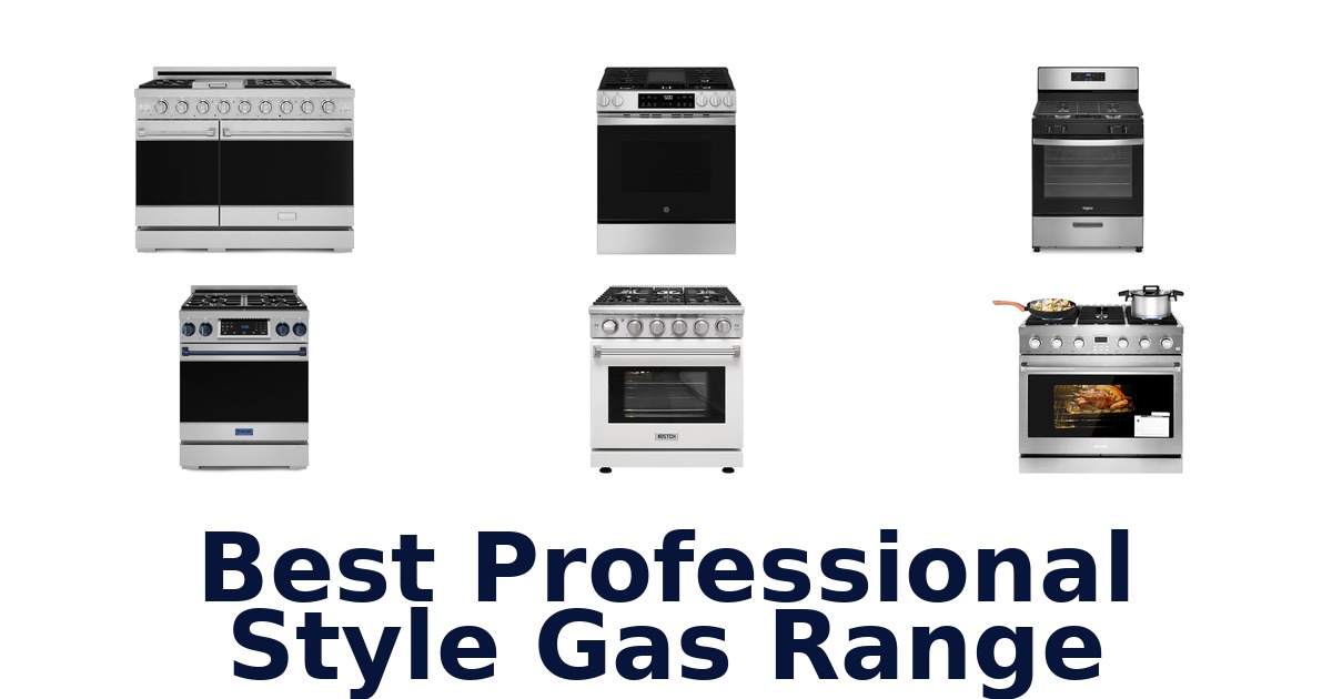 best professional style gas range