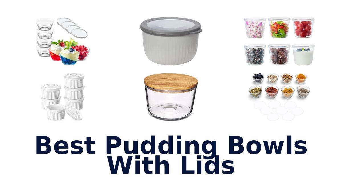best pudding bowls with lids