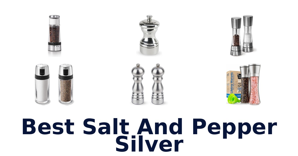 best salt and pepper silver