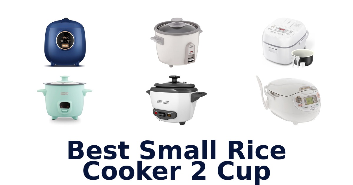 best small rice cooker 2 cup