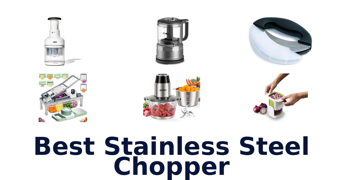 best stainless steel chopper