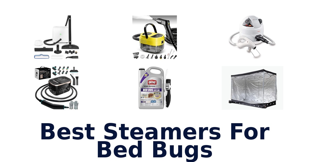 best steamers for bed bugs