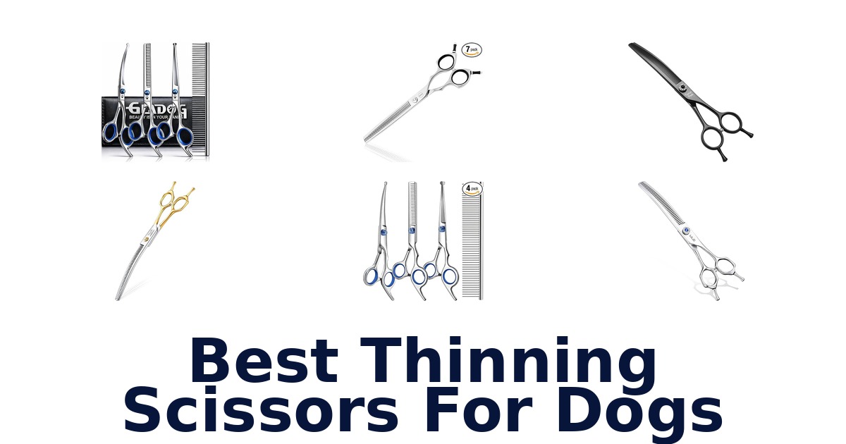 best thinning scissors for dogs