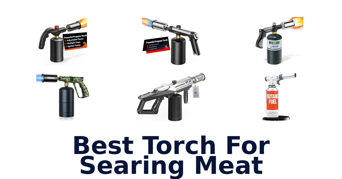 best torch for searing meat