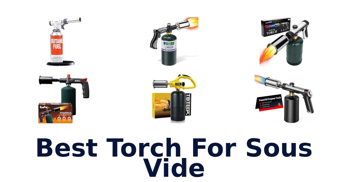 best torch for sous vide