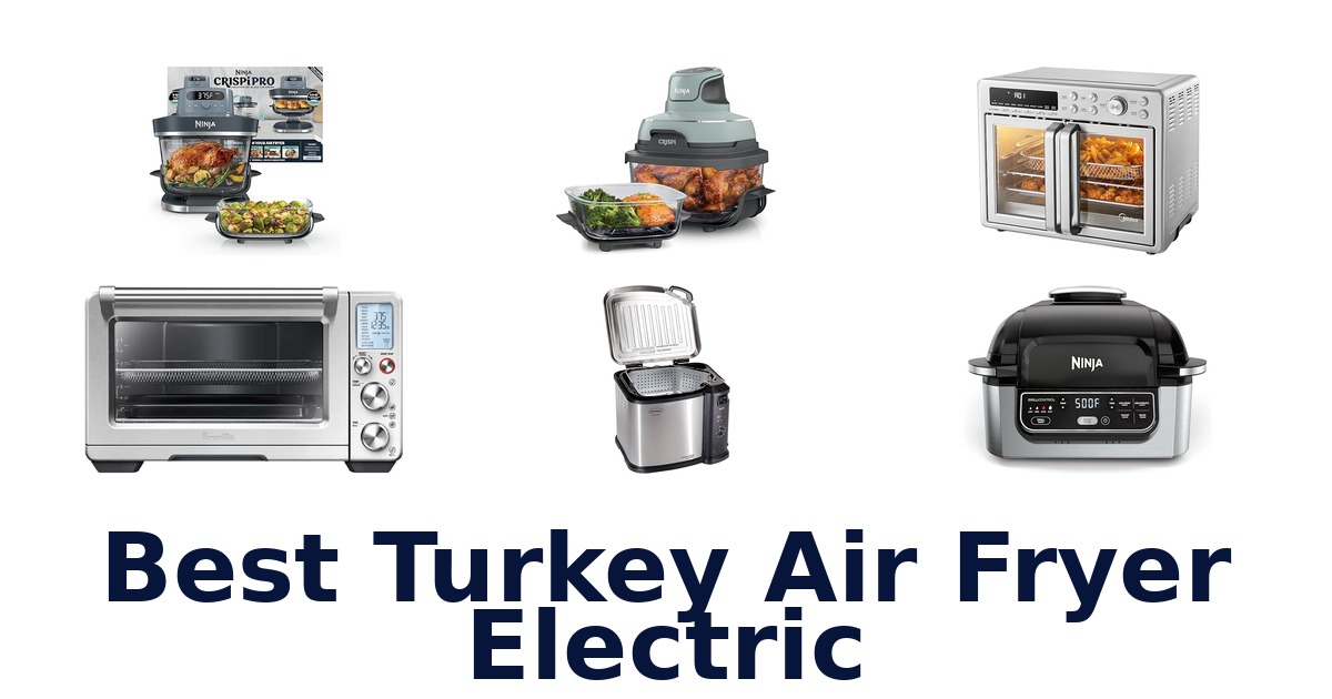 best turkey air fryer electric
