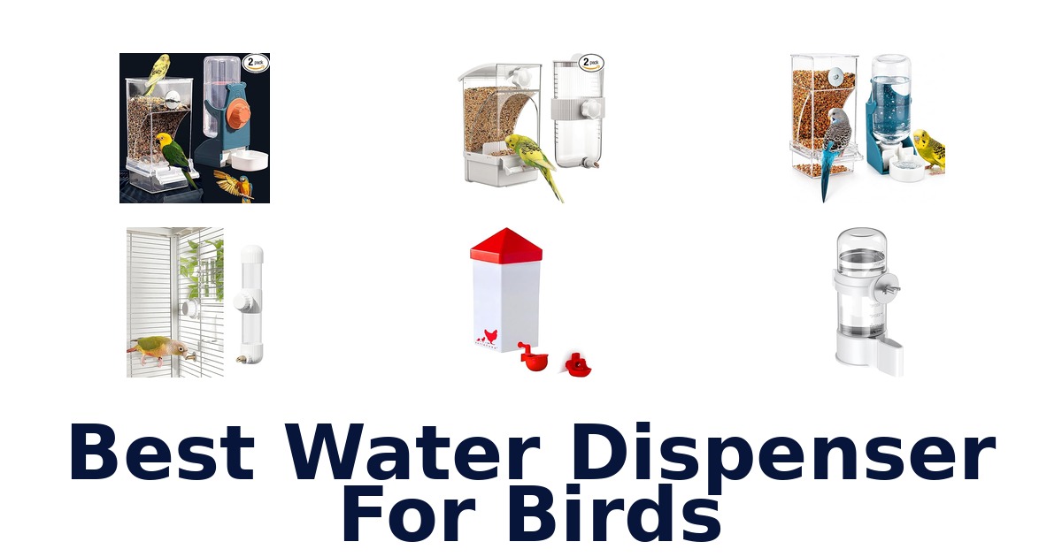 best water dispenser for birds